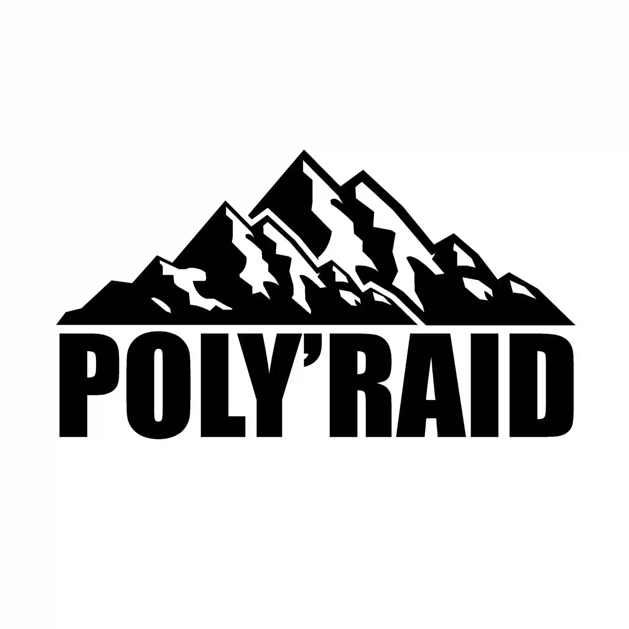 PolyRaid